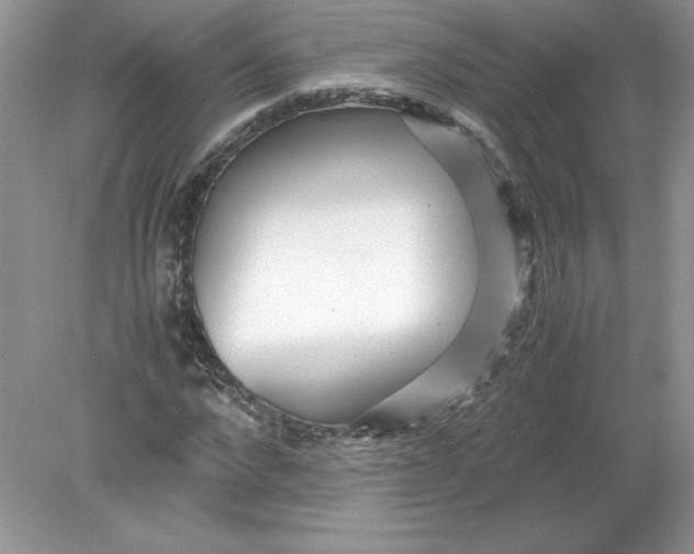 X0000078880872200612042021