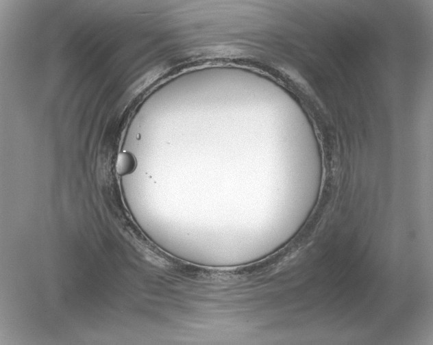 X0000078880873200612042021