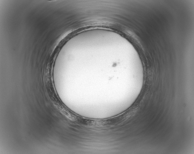 X0000078880875200612042021