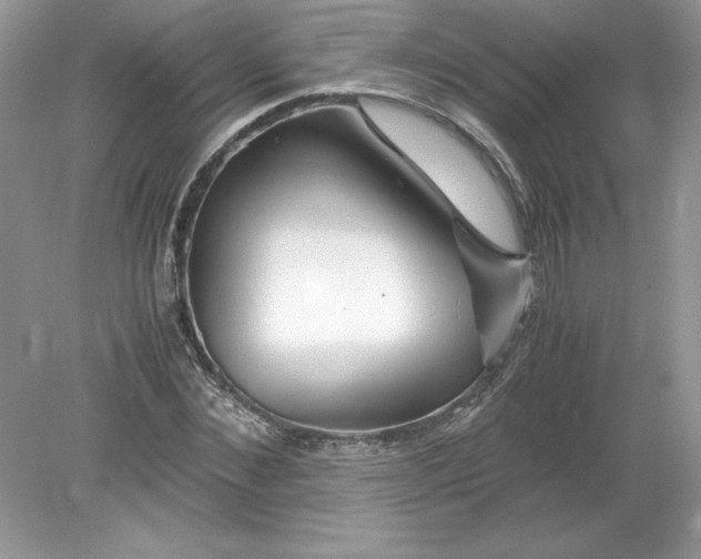 X0000078880876200612042021