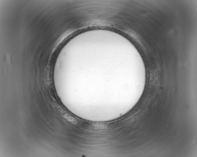 X0000078880878200612042021