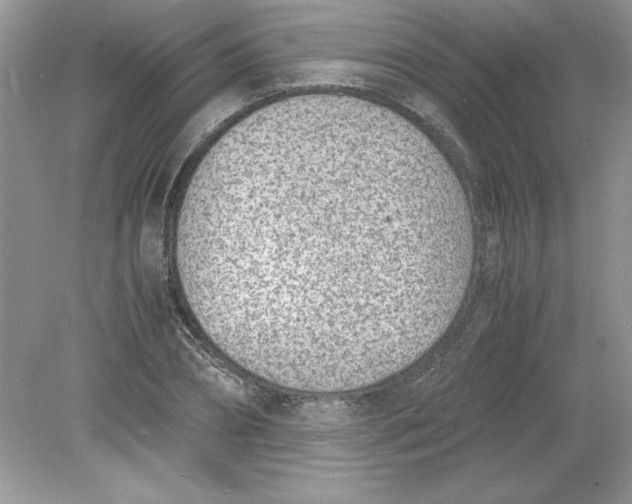 X0000078880882200612042021