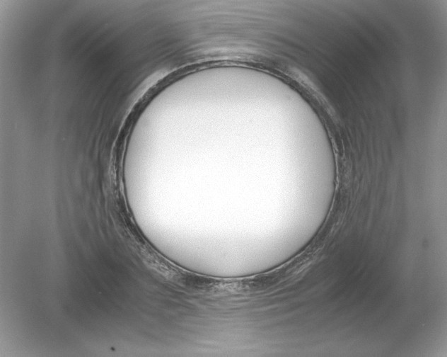 X0000078880883200612042021