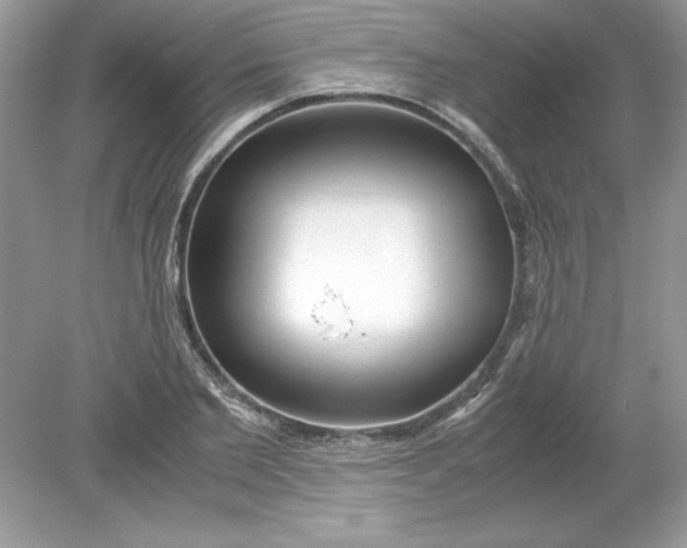 X0000078880885200612042021