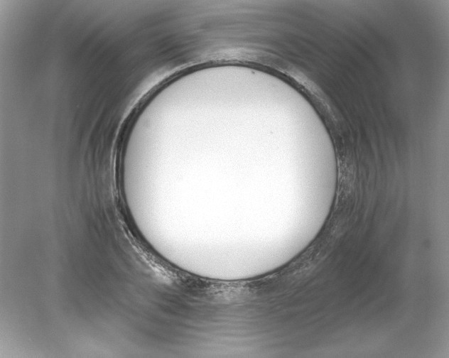 X0000078880886200612042021