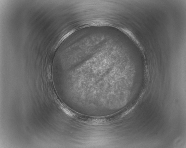 X0000078880889200612042021