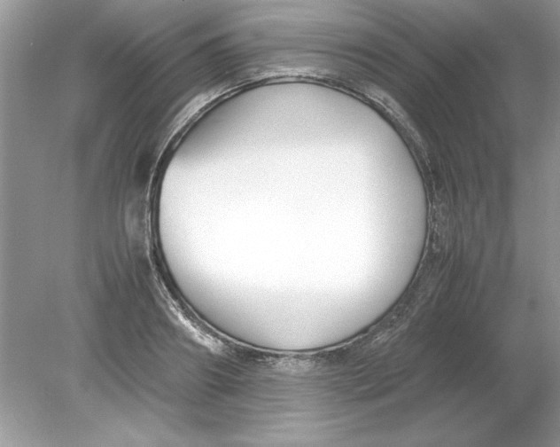 X0000078880890200612042021