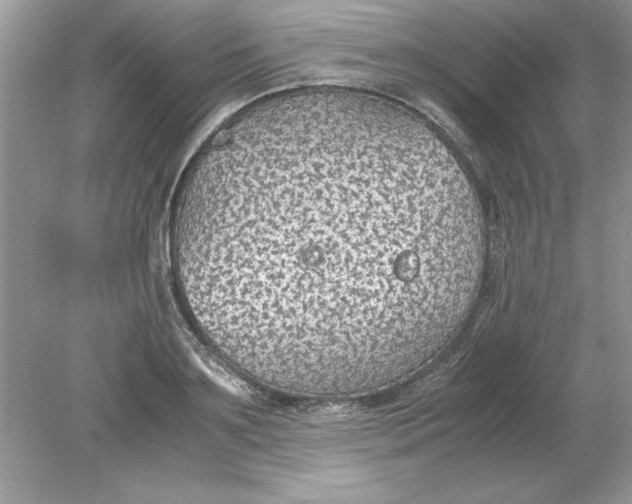 X0000078880891200612042021