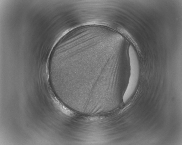 X0000078880892200612042021