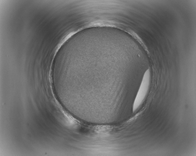 X0000078880893200612042021