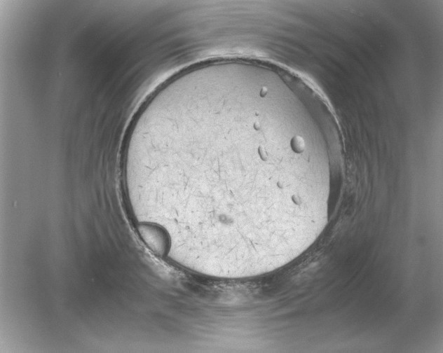 X0000078880895200612042021