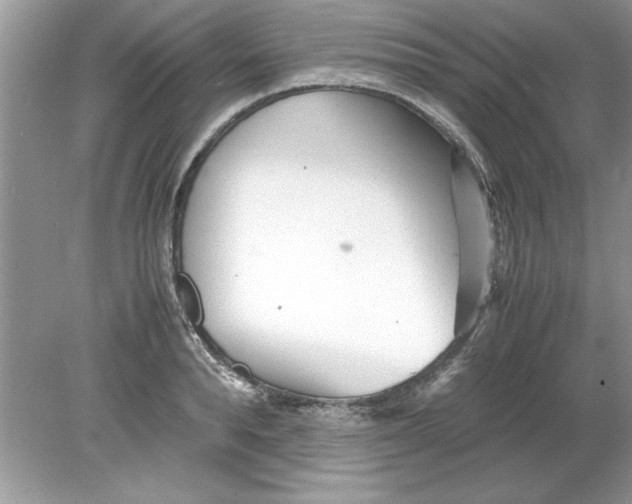 X0000078880896200612042021