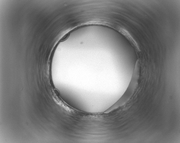 X0000078880900200612042021