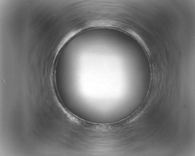 X0000078880901200612042021