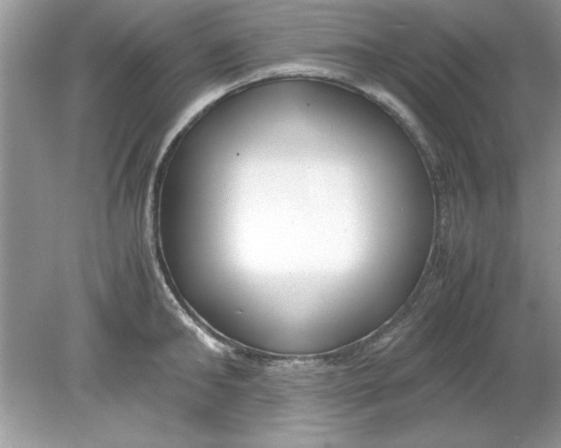 X0000078880902200612042021