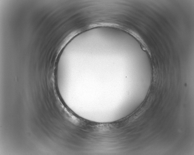 X0000078880906200612042021