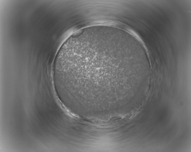 X0000078880907200612042021