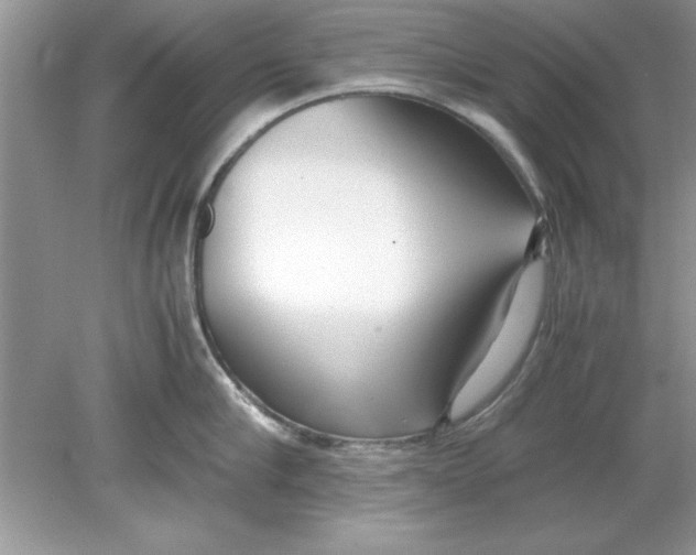 X0000078880910200612042021