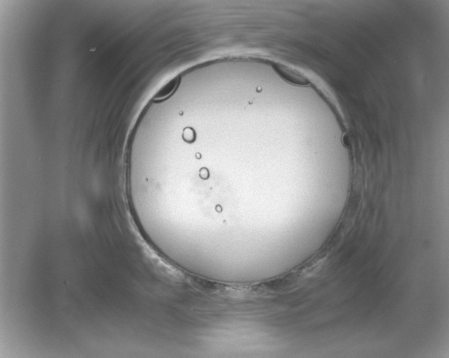 X0000078880911200612042021