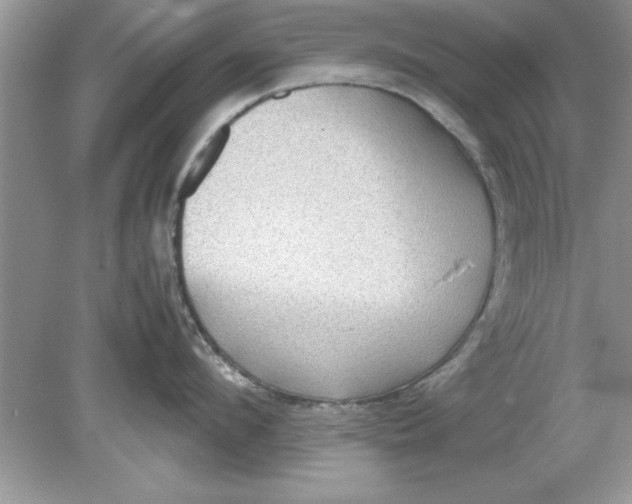 X0000078880912200612042021