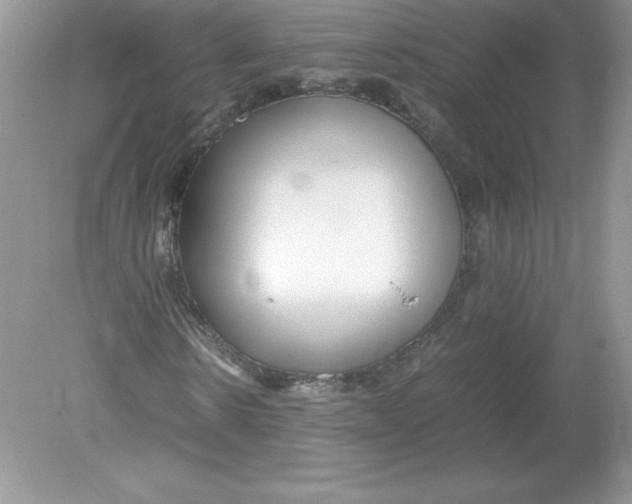 X0000078880914200612042020