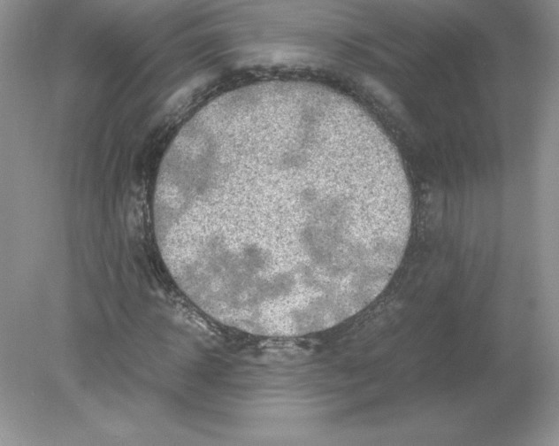 X0000078880918200612042020