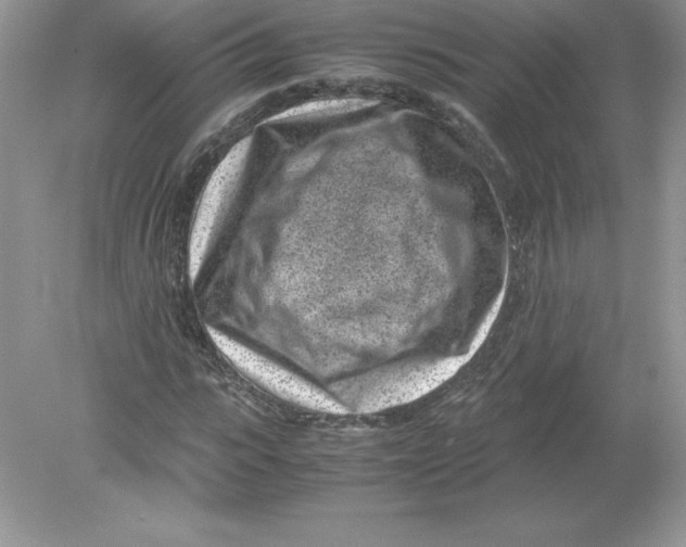 X0000078880919200612042020