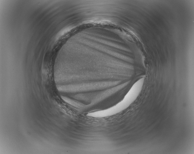 X0000078880920200612042020