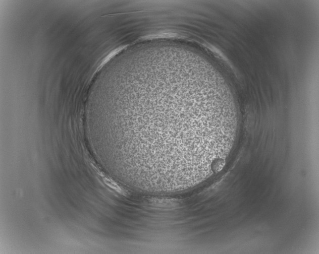 X0000078880921200612042020