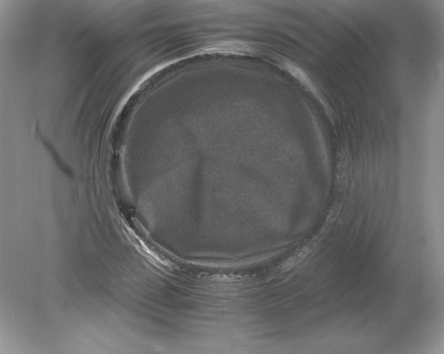 X0000078880923200612042020