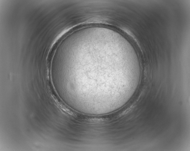 X0000078880925200612042020