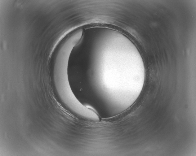 X0000078880926200612042020