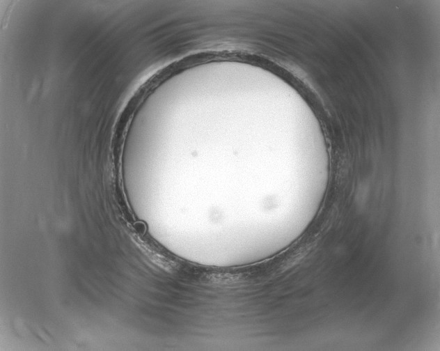 X0000078880927200612042020