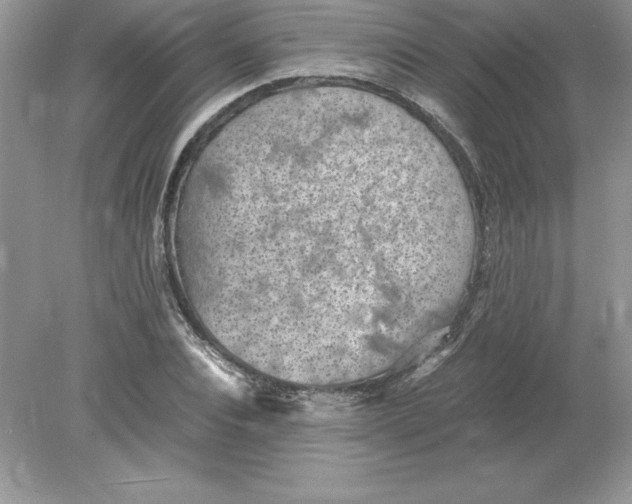 X0000078880928200612042020