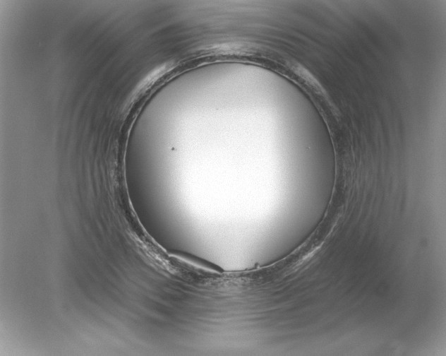 X0000078880930200612042020