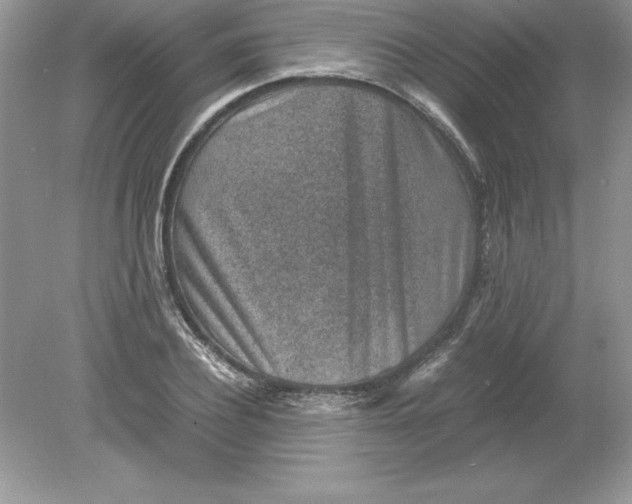 X0000078880932200612042020