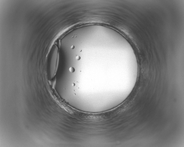 X0000078880933200612042020