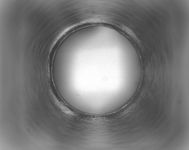 X0000078880934200612042020