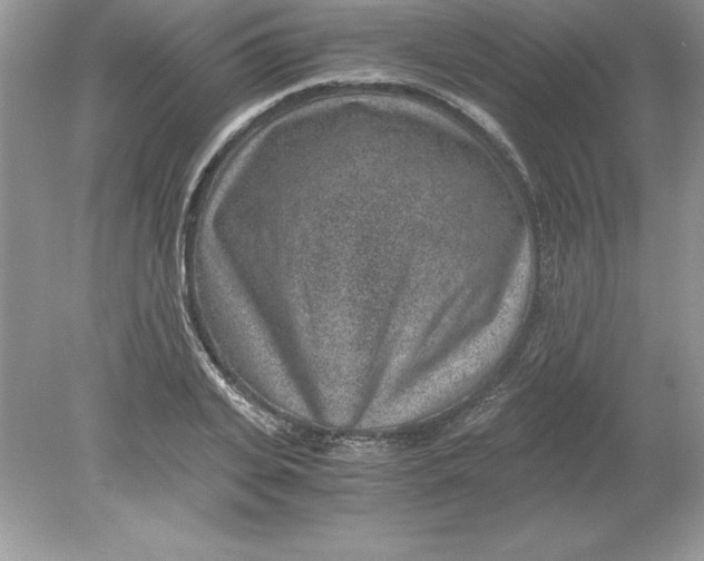 X0000078880935200612042020