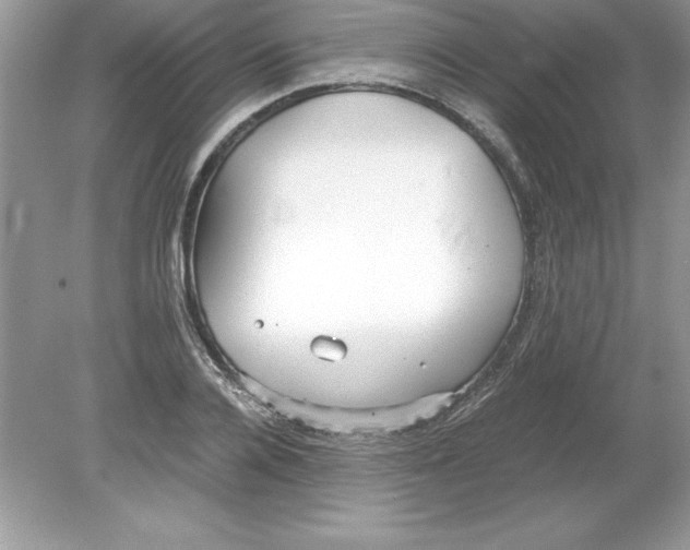 X0000078880936200612042020