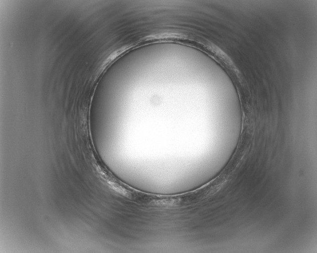 X0000078880937200612042020