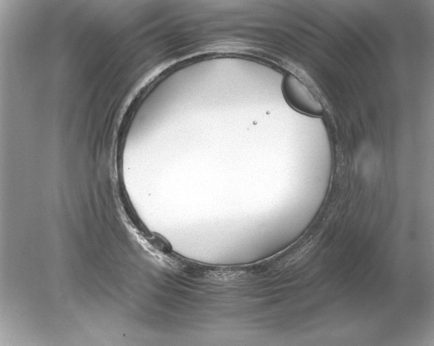 X0000078880939200612042020