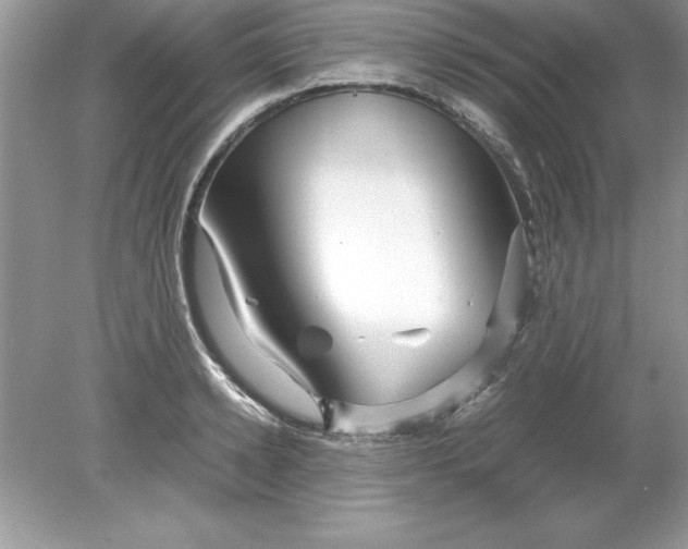 X0000078880942200612042020