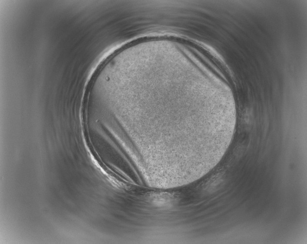 X0000078880943200612042020