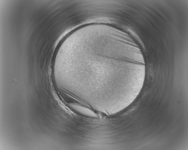 X0000078880944200612042020