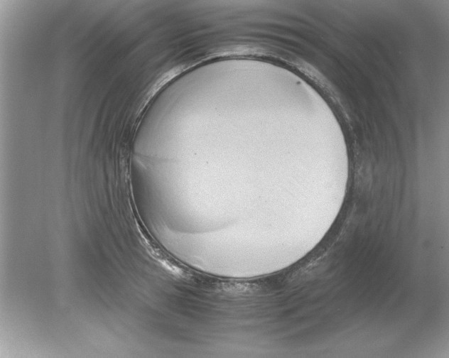 X0000078880945200612042020