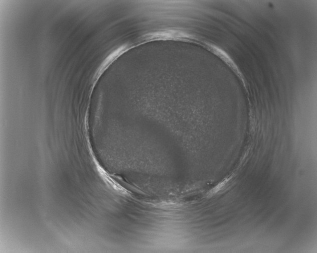 X0000078880946200612042020