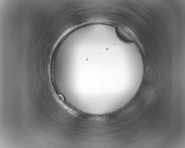 X0000078880947200612042020