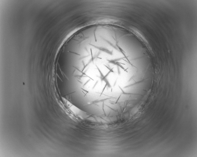 X0000078880948200612042021