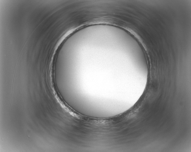 X0000078880949200612042021